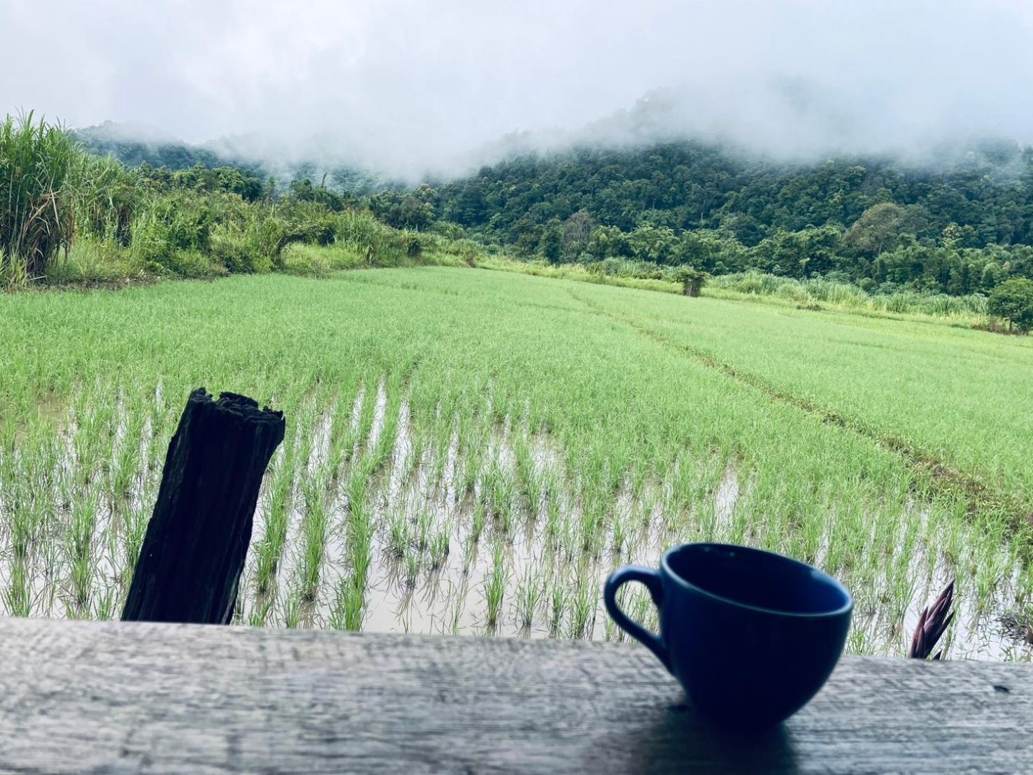 บ้านสวนวิวทุ่ง Ban Mae Sap Nua 외부 사진