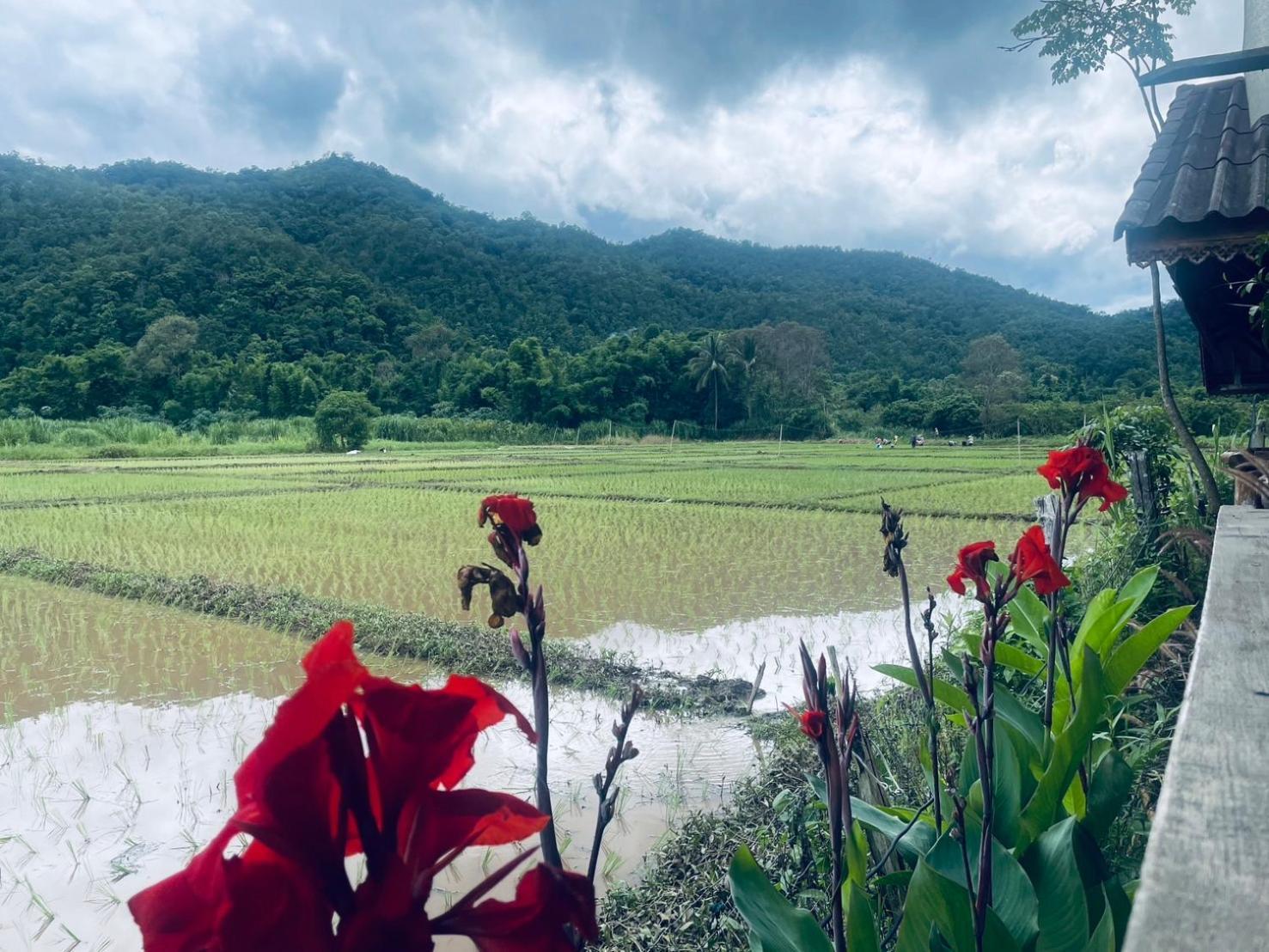 บ้านสวนวิวทุ่ง Ban Mae Sap Nua 외부 사진