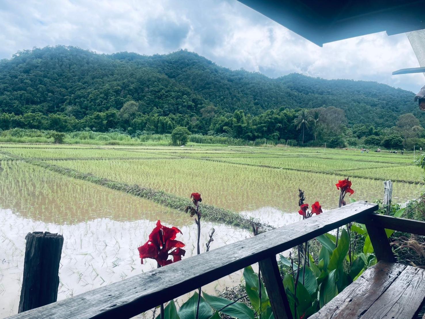 บ้านสวนวิวทุ่ง Ban Mae Sap Nua 외부 사진