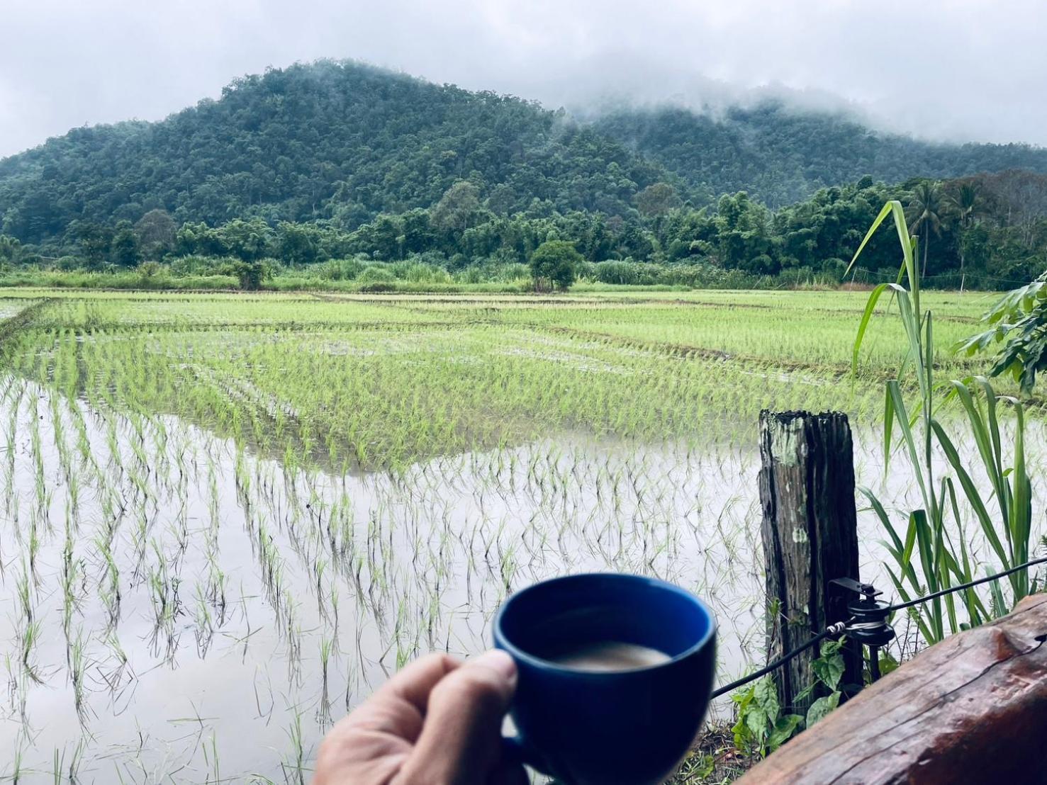 บ้านสวนวิวทุ่ง Ban Mae Sap Nua 외부 사진