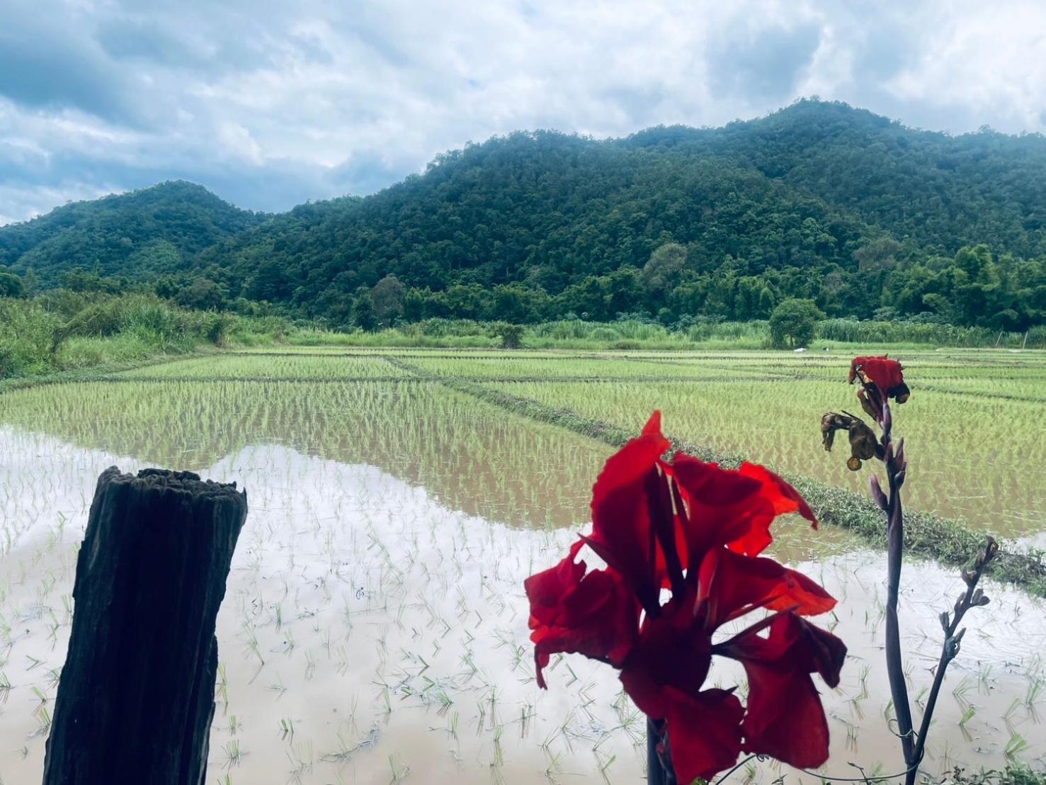 บ้านสวนวิวทุ่ง Ban Mae Sap Nua 외부 사진