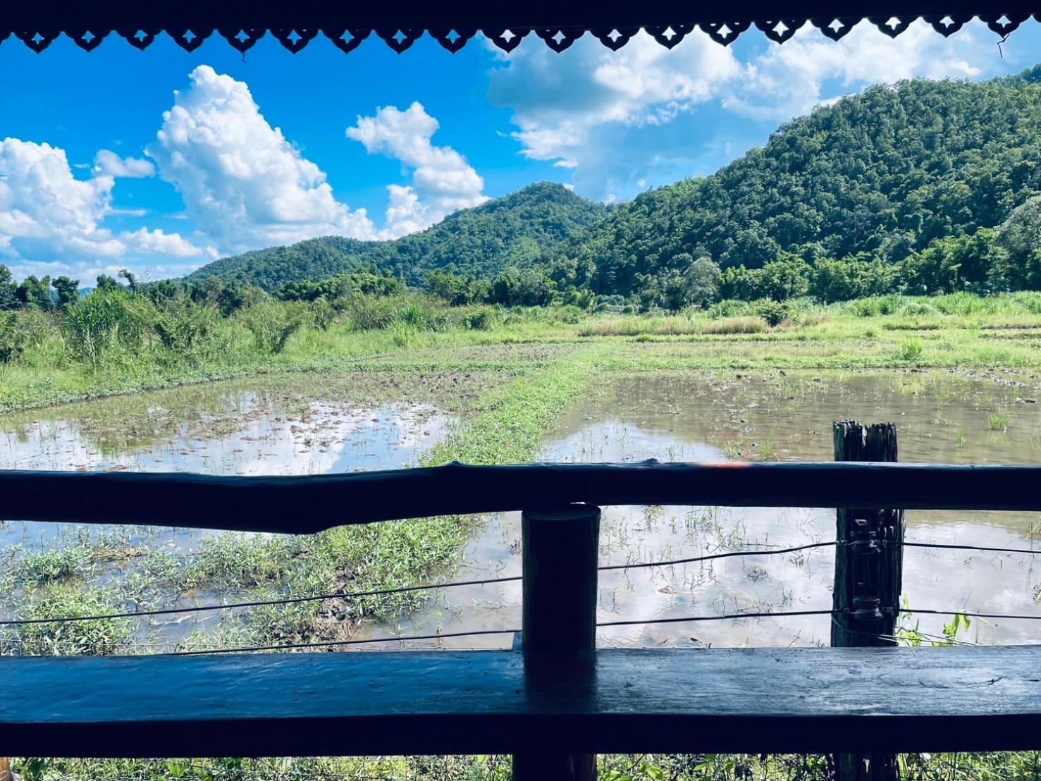 บ้านสวนวิวทุ่ง Ban Mae Sap Nua 외부 사진