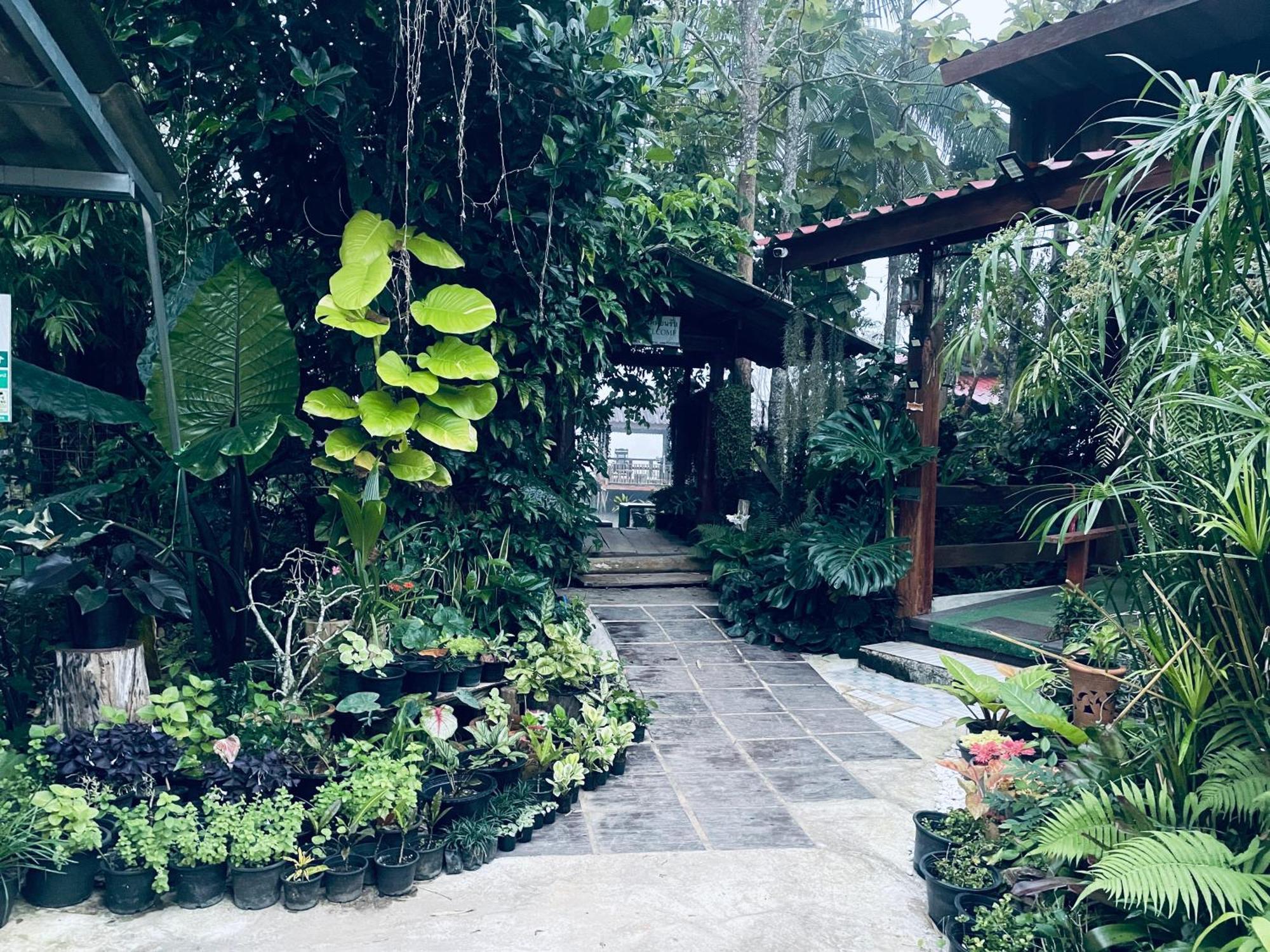 บ้านสวนวิวทุ่ง Ban Mae Sap Nua 외부 사진