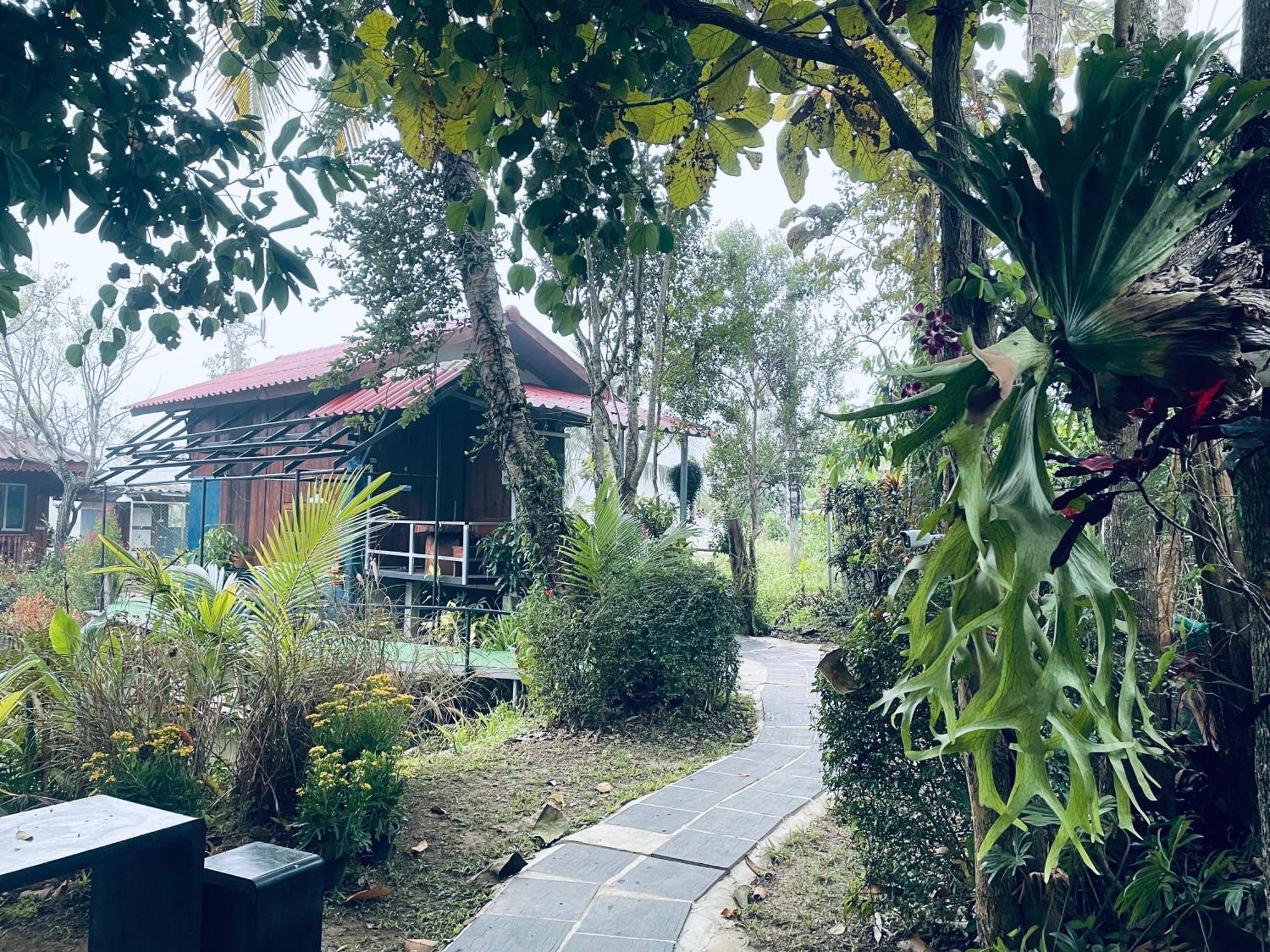 บ้านสวนวิวทุ่ง Ban Mae Sap Nua 외부 사진